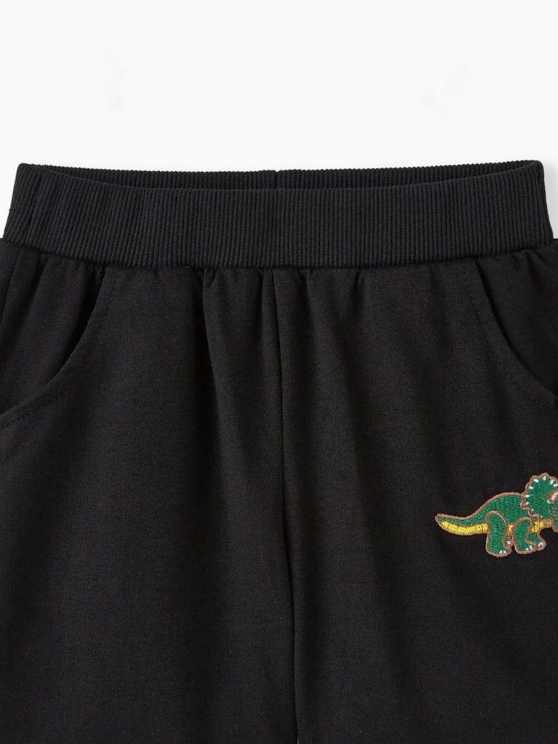 Bottoms | Toddler Boys Dinosaur Pattern Shorts Set, 1pc, Polyester/Spandex Blend, Machine Washable Grey|Black